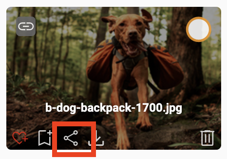 Graphical user interface, website

Description automatically generated