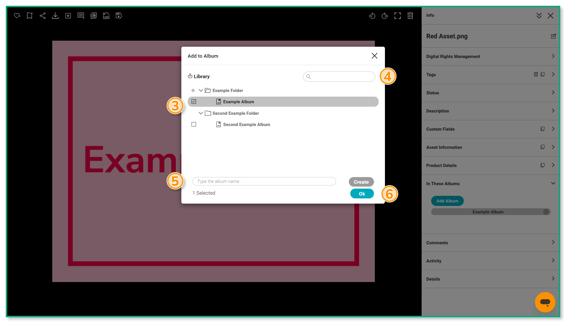 How to Add assets to an album Help Center English