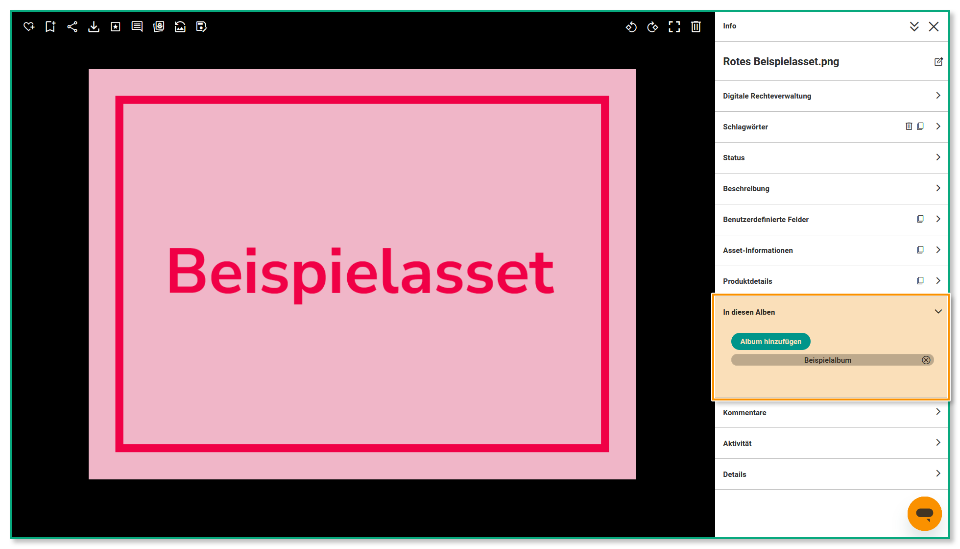 Die Asset-Vorschauseite - der Bereich "In diesen Alben" ist hervorgehoben