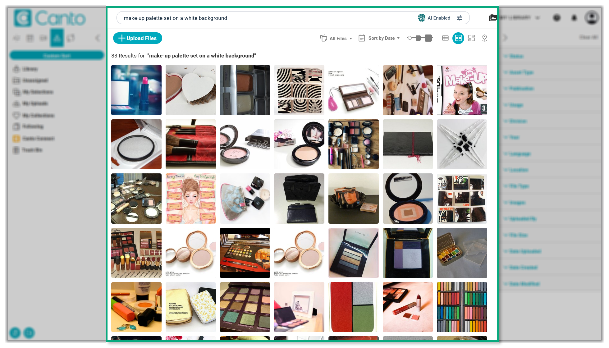 The Main Library - AI Visual Search has returned results for the prompt "make-up palette set on a white background".