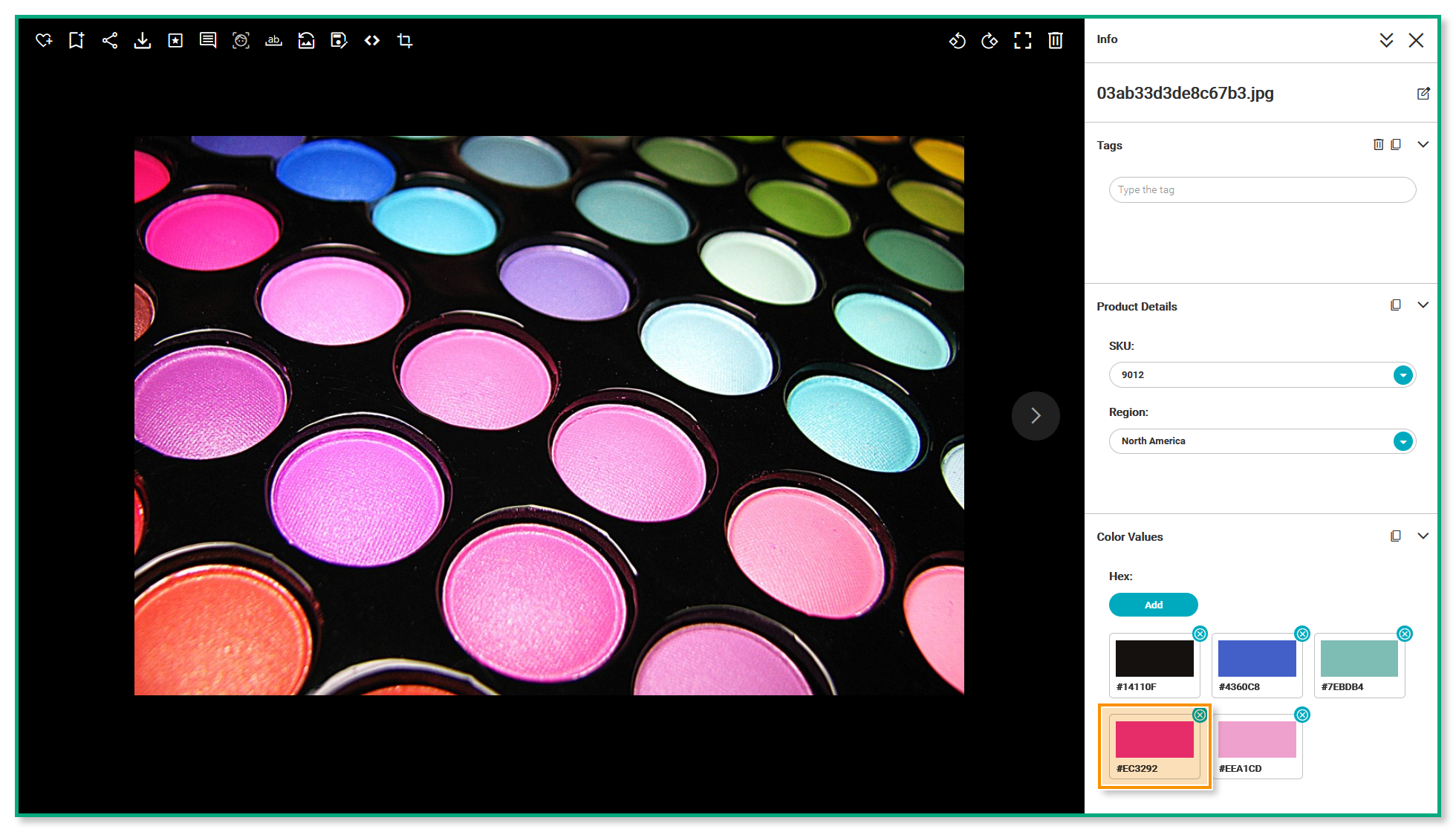 The Preview Page of the asset highlighted in the previous screenshot - the color value "#EC3292" is highlighted.