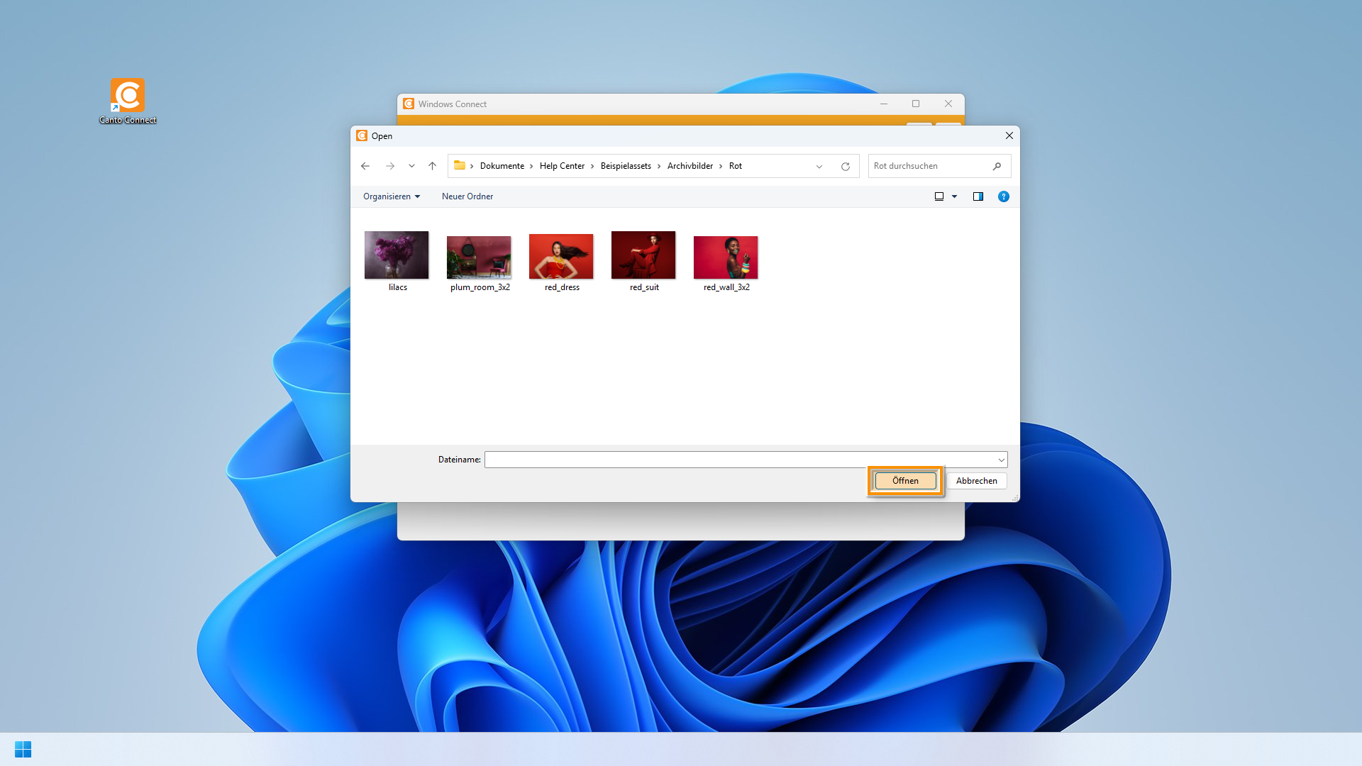 Canto Connect (Legacy) für Windows - ein Windows 11 Explorer-Fenster wird angezeigt, und der "Öffnen"-Knopf ist hervorgehoben.