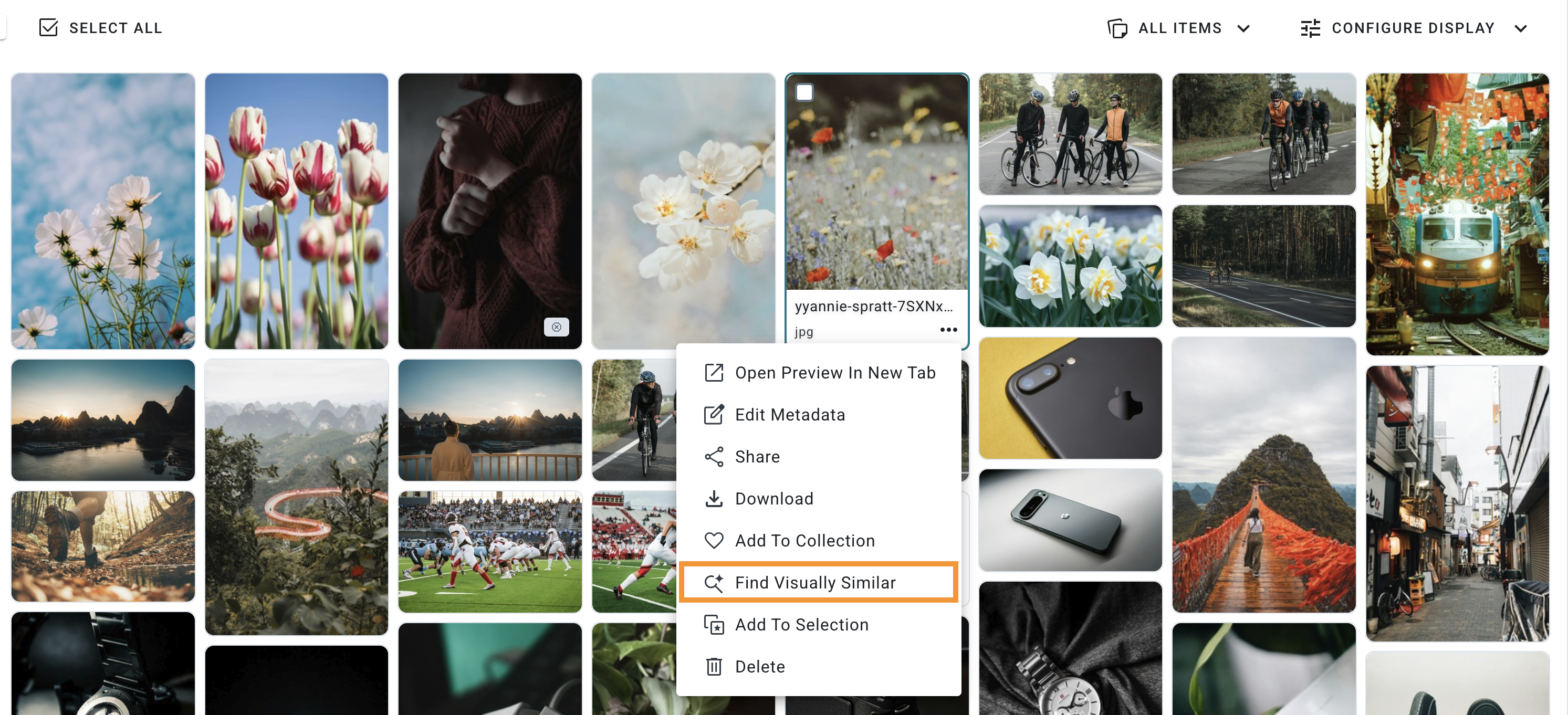 Visually Similar_Find.png