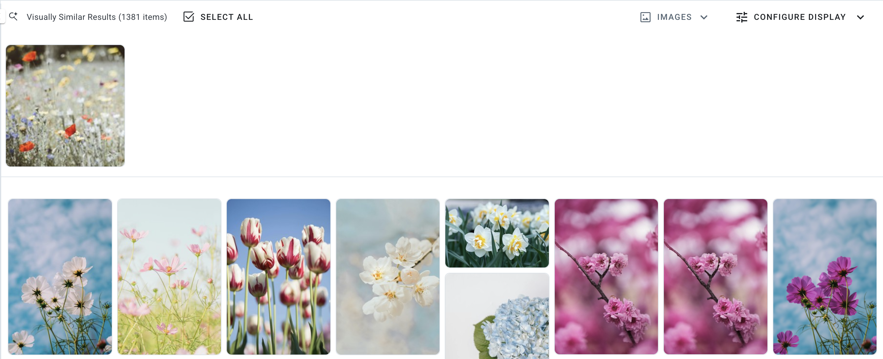 Visually Similar_Results.png