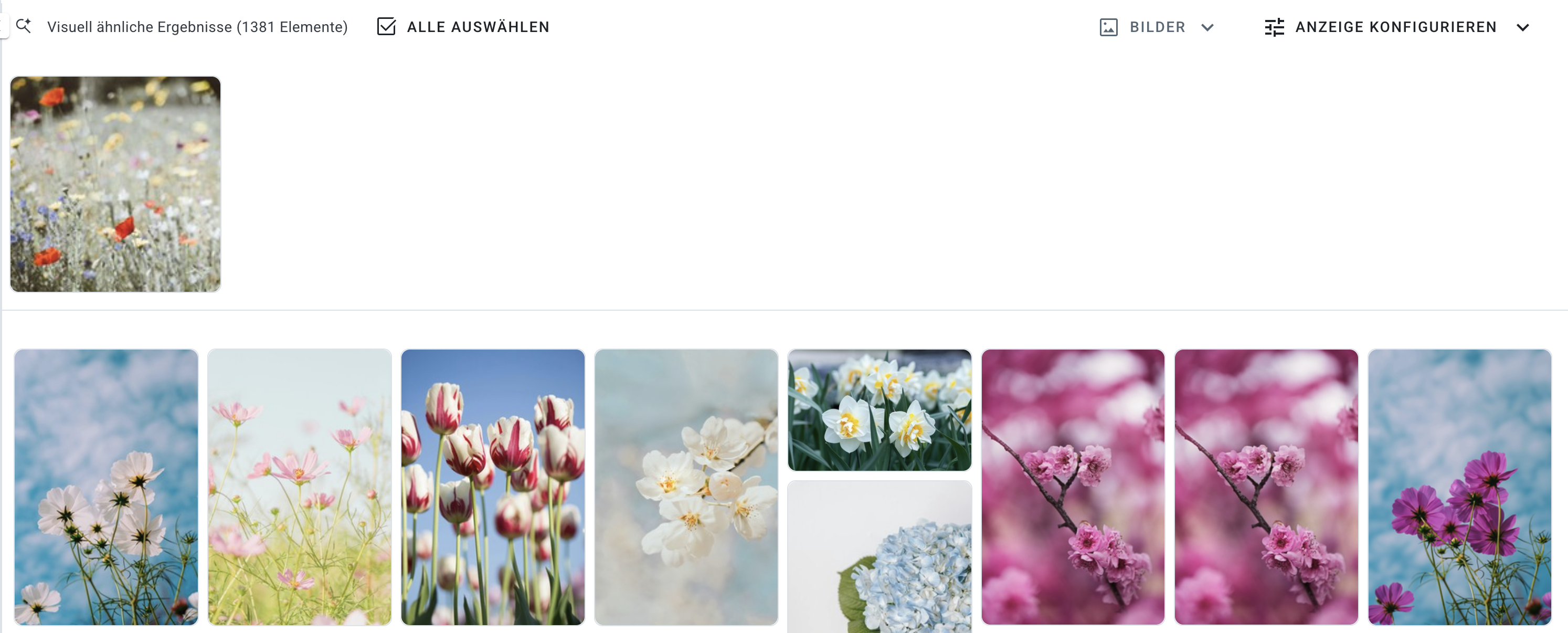 Visually Similar_Results_DE.png